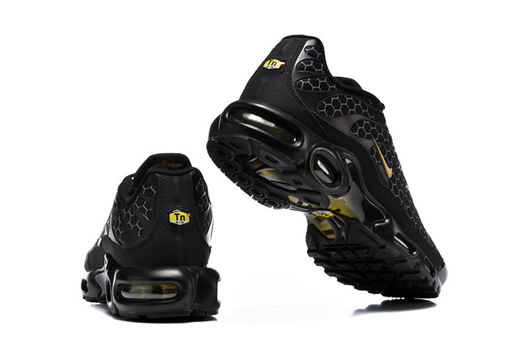 Black Gold Hive