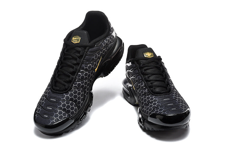 Black Gold Hive