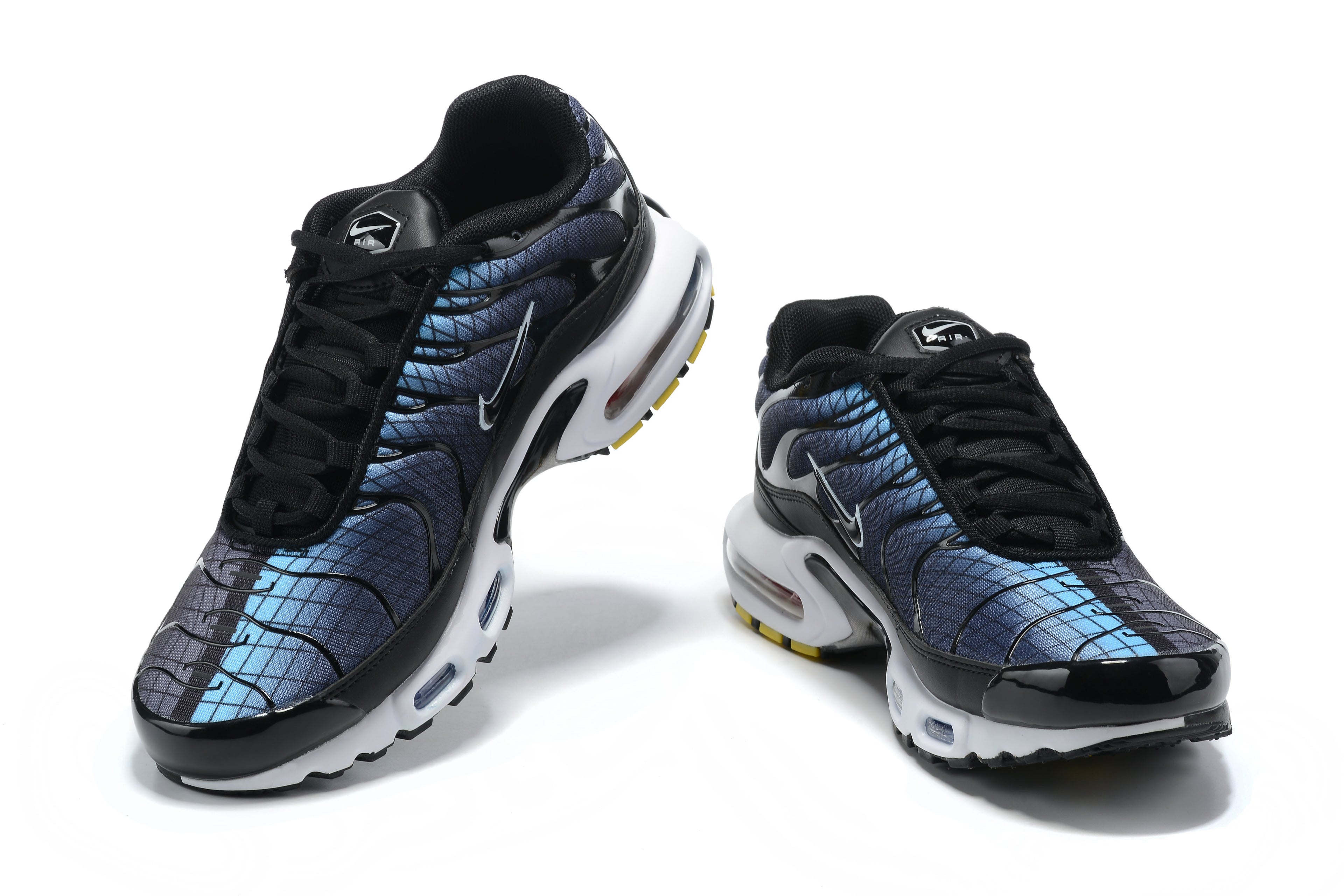 Black Racer Blue