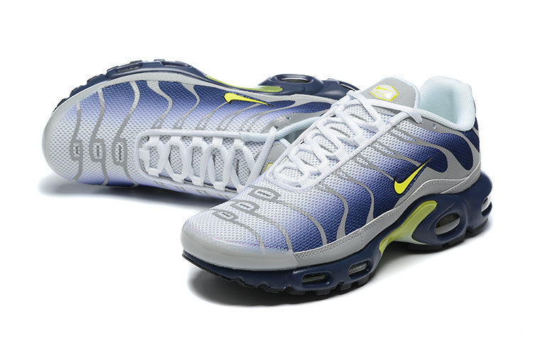 Grey Racer Blue Volt