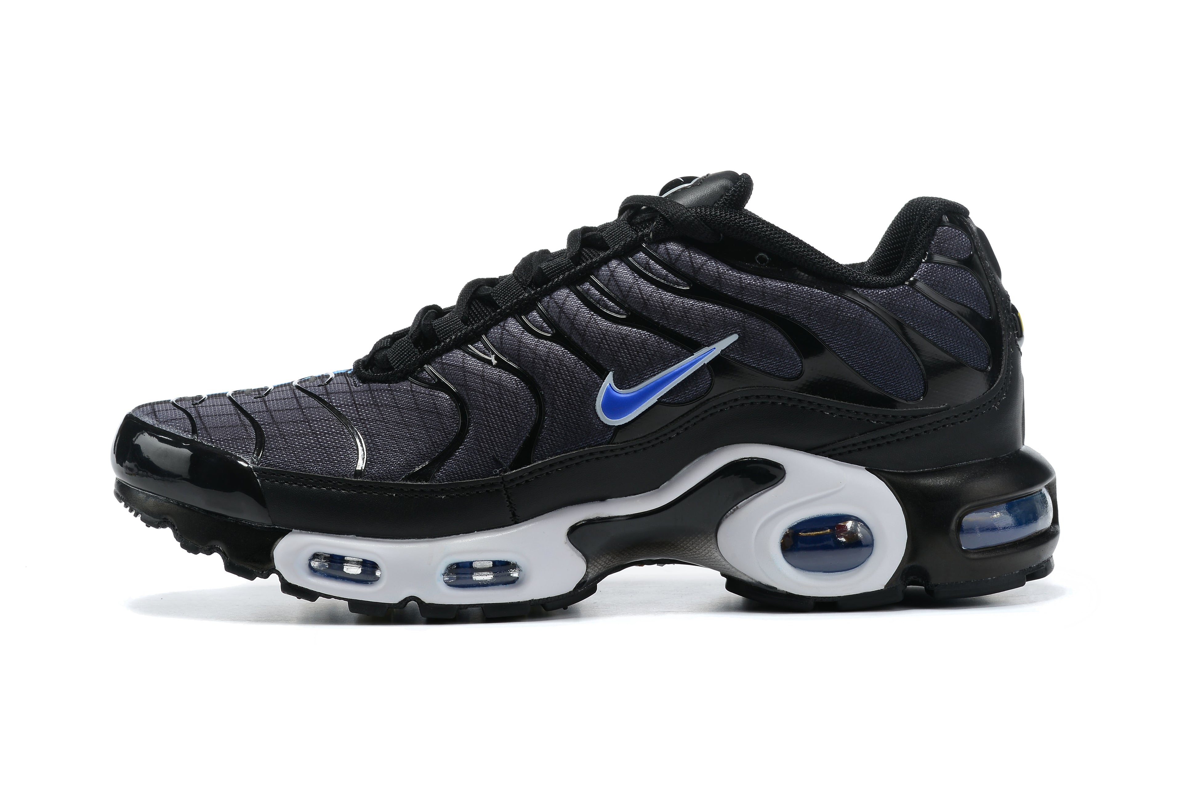 Black Racer Blue