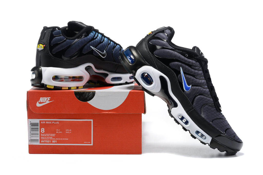Black Racer Blue