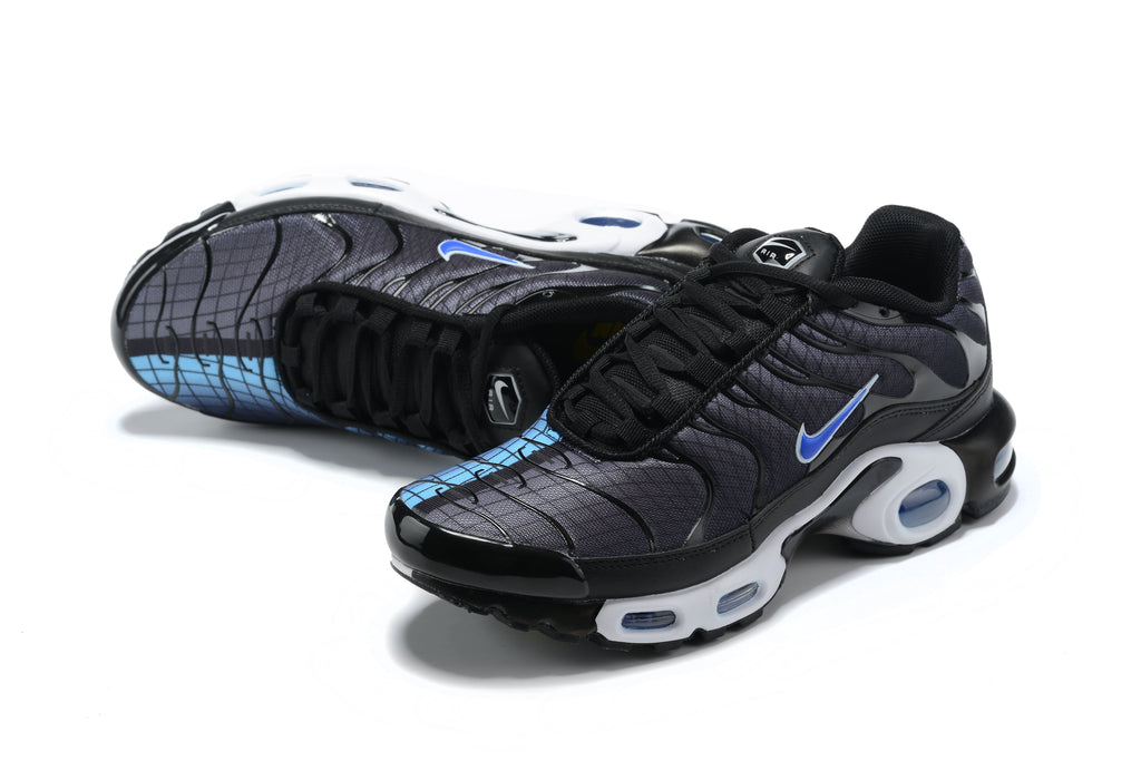 Black Racer Blue